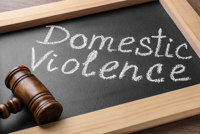 Domestic assault law