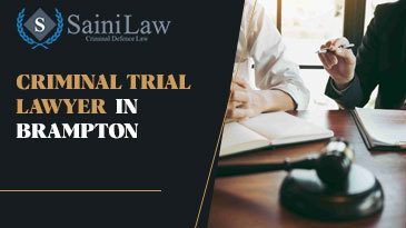 Criminal Trial Lawyer in Brampton